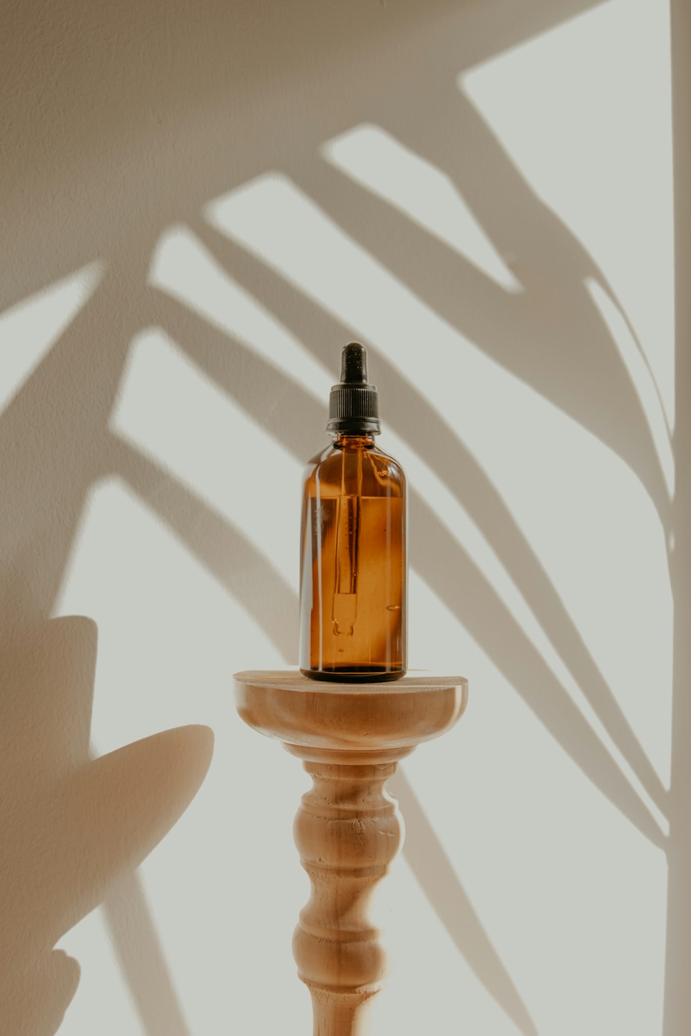 معاينة قالب Bloom